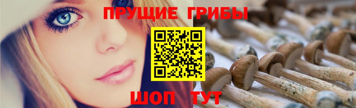 Галлюциногенные грибы ЛСД Зерноград